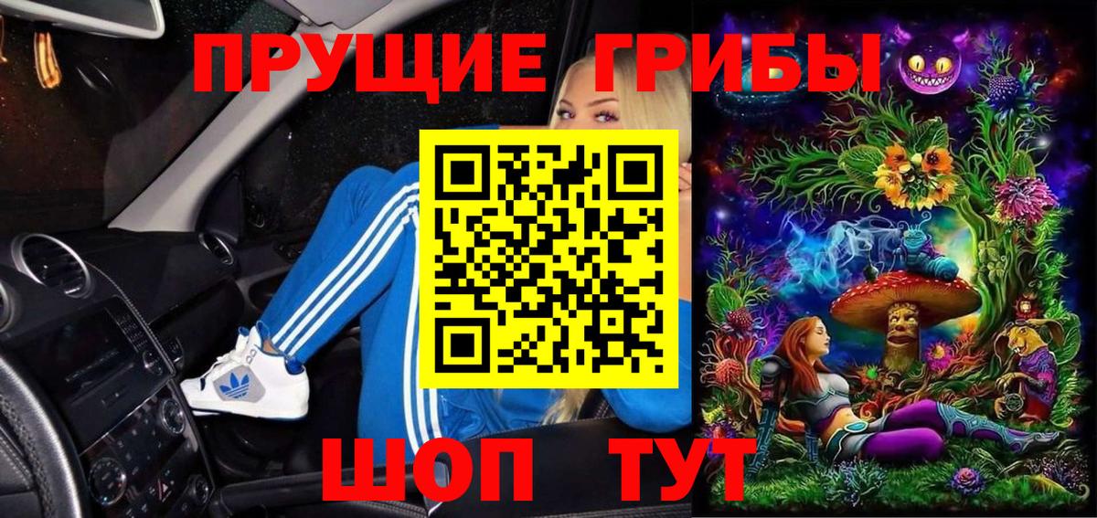 Жигулёвск  Галлюциногенные грибы GOLDEN TEACHER  Вход с VPN 